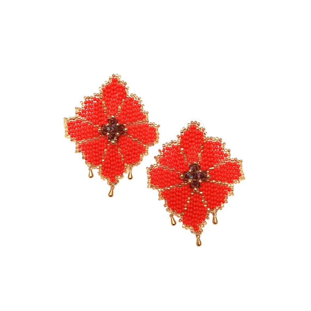 Aretes Nativa