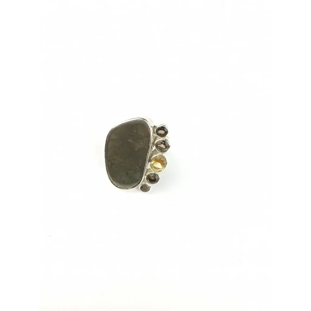 Anillo Terra Canal