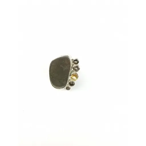 Anillo Terra Canal